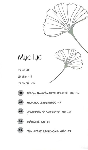 Tâm Lý Học Tích Cực - Đánh Bại Trầm Cảm