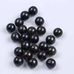 Hạt Ngọc Trai Đen Tự Nhiên Không Lỗ 11-13mm Có Ít Tì MADAME HIEN PEARLS HT004D