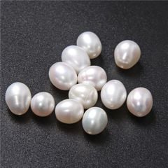 Hạt Trai Tự Nhiên Hình Bầu Dục Xuyên Tâm Hạt Dùng Làm Phụ Kiện Trang Sức HG001