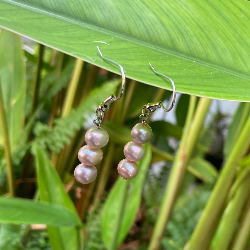 Bông Tai Móc Bạc 3 Hạt Ngọc Trai Nước Ngọt Tự Nhiên 7-8mm MADAME HIEN PEARLS BTT029