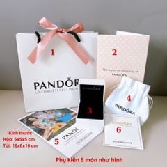 Bộ hộp đựng quà tặng trang sức vòng cổ, vòng tay, nhẫn Chuẩn hãng Full box thương hiệu Pandora, Gucci, LV PKG018