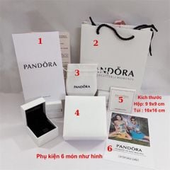 Bộ hộp đựng quà tặng trang sức vòng cổ, vòng tay, nhẫn Chuẩn hãng Full box thương hiệu Pandora, Gucci, LV PKG018