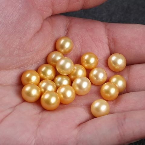 Hạt Ngọc Trai Tròn Vàng 9-10mm Hơi Lỗi, làm Mặt Nhẫn Hoặc Bông Tai Dấu Lỗi Làm Phụ Kiện Trang Sức MADAME HIEN PEARLS HT019