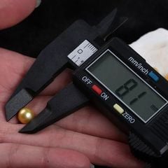 Hạt Ngọc Trai Tròn Vàng 9-10mm Hơi Lỗi, làm Mặt Nhẫn Hoặc Bông Tai Dấu Lỗi Làm Phụ Kiện Trang Sức MADAME HIEN PEARLS HT019