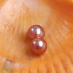 Hạt Ngọc Trai tròn Ngọc Trai Tròn Hồng Tím Tự Nhiên 6-7mm AAA Làm Phụ Kiện Trang Sức MADAME HIEN PEARLS HT018