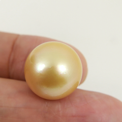 Hạt Ngọc Trai Vàng Tự Nhiên 12mm VIP Cao Cấp MADAME HIEN PEARLS HT006