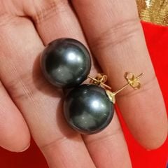 Bông Tai Nụ Ngọc Trai Đá Size Khủng 16mm Vàng 14K YM005
