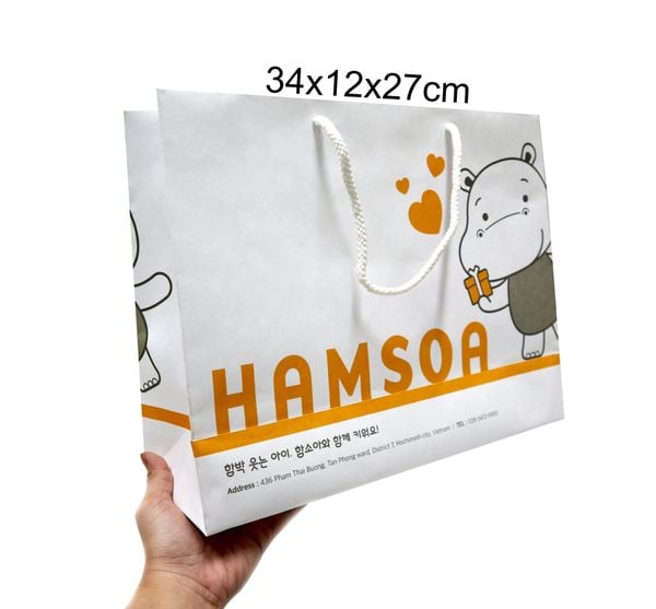 Túi giấy in OFFSET 34x12x27cm TG01