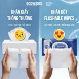  Khăn Ướt Phân Hủy 