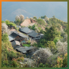 Tour ngắm hoa Sơn Tra 1: Hà Nội - Bản Ít - Bản Nậm Nghiệp