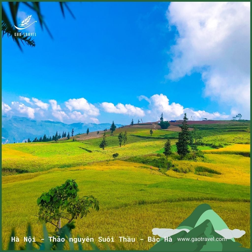 Bản Nậm Hồng - Thảo nguyên Suôi Thầu - Chợ phiên Bắc Hà