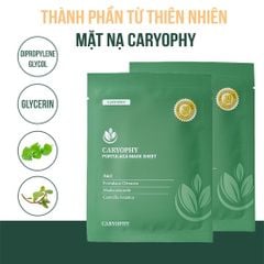 Mặt Nạ Caryophy Làm Giảm Mụn Thâm Dưỡng Ẩm Da 22g