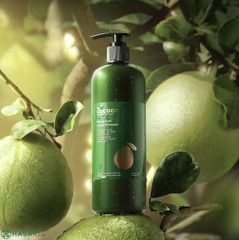 Cocoon Dầu Gội Bưởi Dưỡng Tóc 310ml