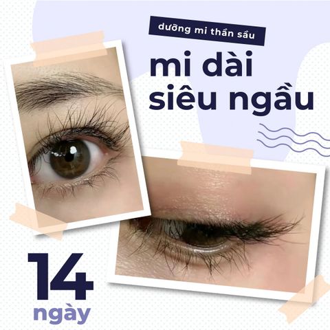 FEG Max Serum Dưỡng Mi
