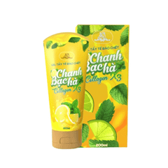 Gel Tẩy Tế Bào Chết Collagen X3 Đông Anh 200ml