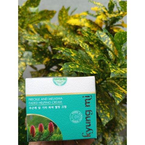 KYUNGMI Kem Ngừa Nám Tàn Nhang 20g