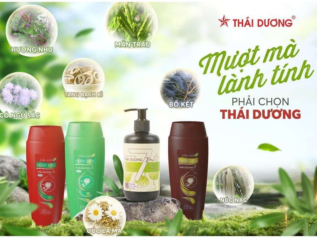 Dầu Gội Dược Liệu Thái Dương 3 200ml