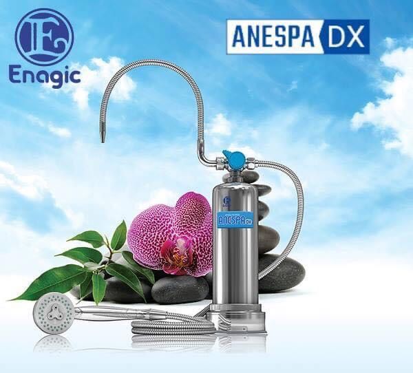 Máy tắm khoáng Kangen Anespa DX