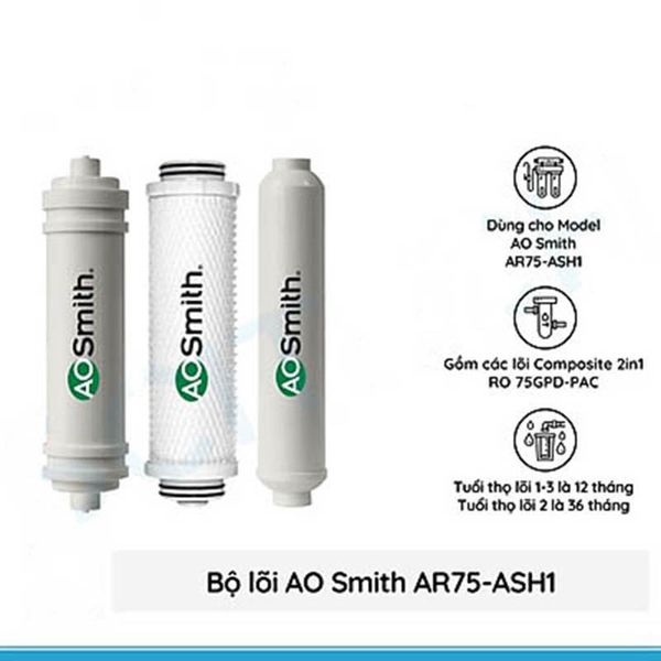  Lõi lọc nước cho máy AOSMITH AR75-A-S-H1 