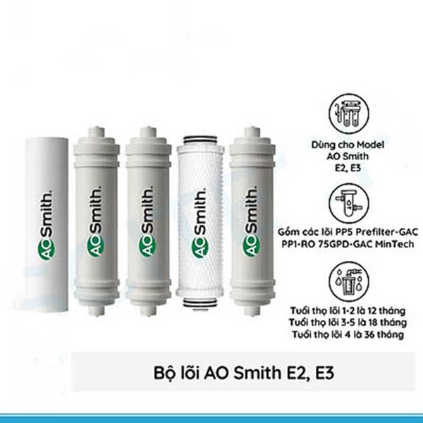  Lõi lọc nước cho máy AOSMITH E2,E3 