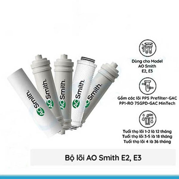  Lõi lọc nước cho máy AOSMITH E2,E3 