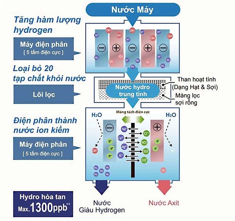 Máy lọc nước Ion Kiềm Fujiiryoki Trevi FWH-10000 ( Fujiiryoki HWP-77 )