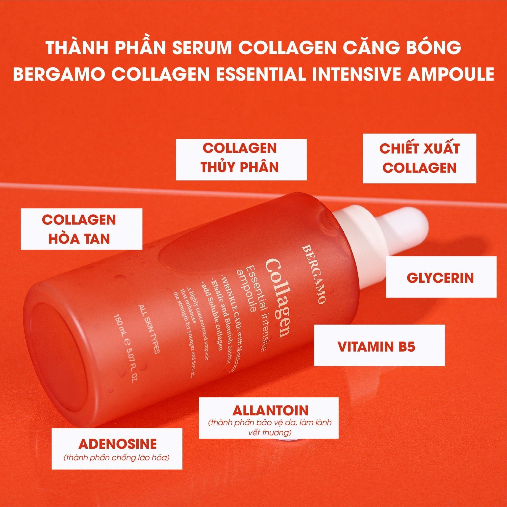 SERUM COLLAGEN CĂNG BÓNG BERGAMO COLLAGEN ESSENTIAL INTENSIVE AMPOULE 150ML
