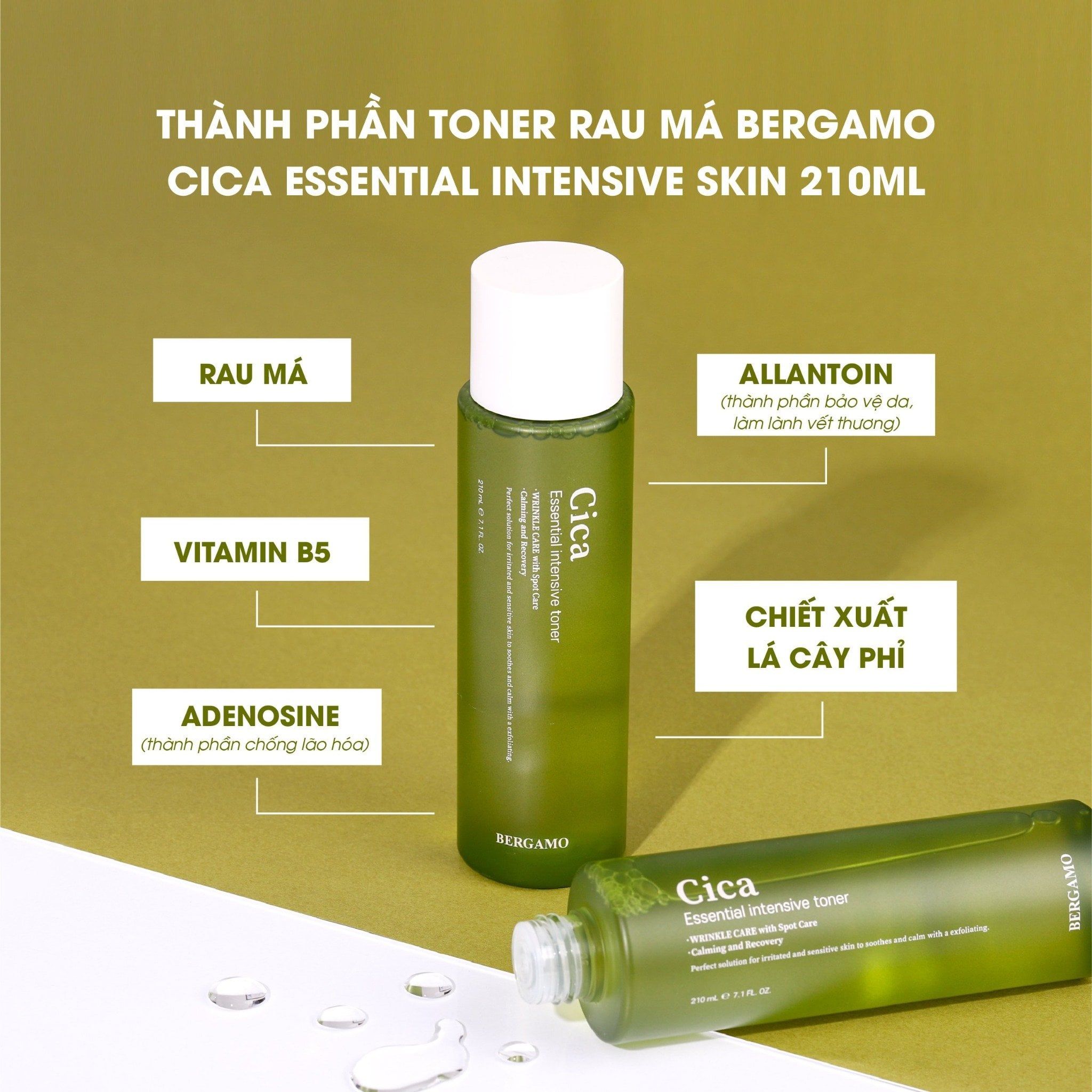 TONER RAU MÁ BERGAMO CICA ESSENTIAL INTENSIVE TONER 210ML