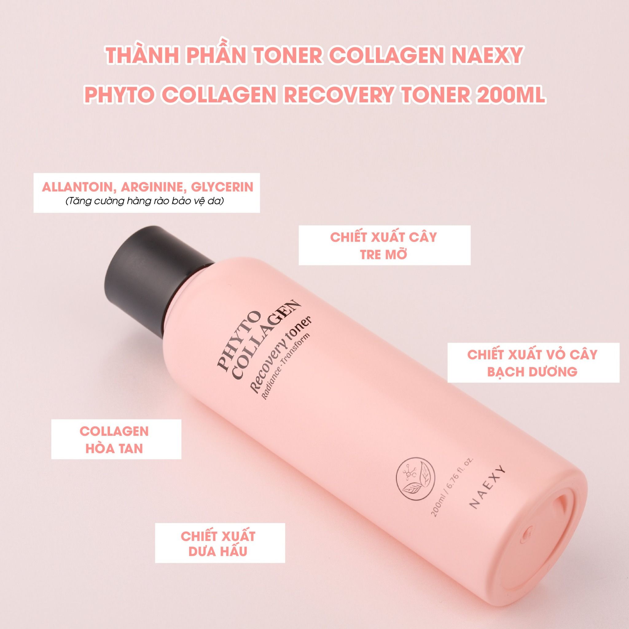 TONER COLLAGEN NAEXY PHYTO COLLAGEN RECOVERY TONER 200ML