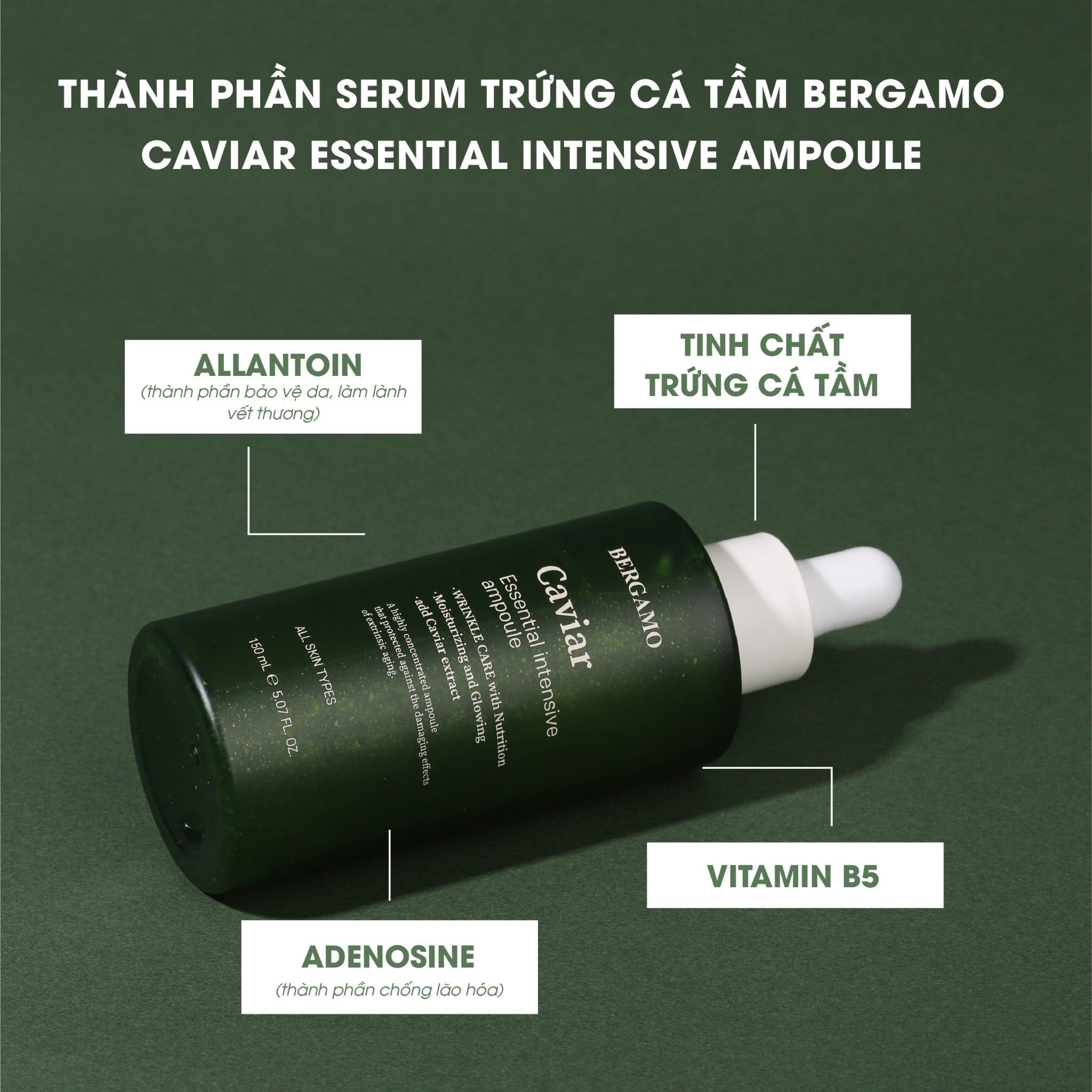 TINH CHẤT TRỨNG CÁ TẦM BERGAMO CAVIAR ESSENTIAL INTENSIVE AMPOULE