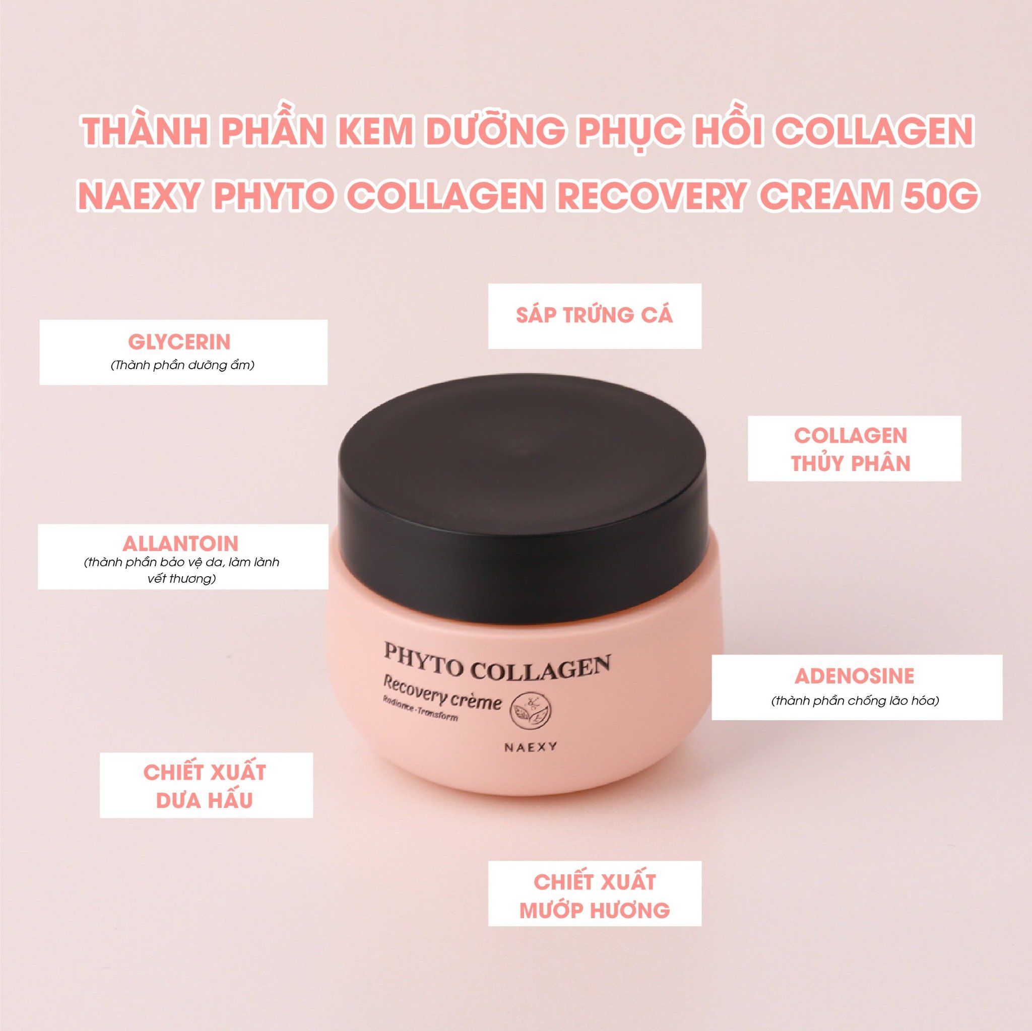KEM DƯỠNG HỖ TRỢ PHỤC HỒI COLLAGEN NAEXY PHYTO COLLAGEN RECOVERY CREAM 50G