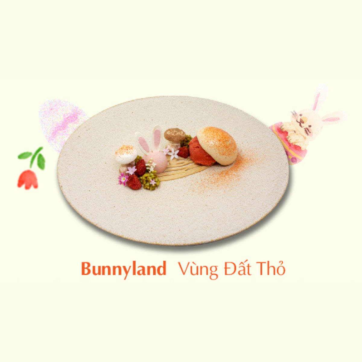 Vùng Đất Thỏ