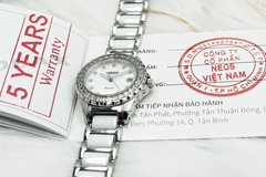 Đồng Hồ Nữ Dây Sứ Neos N-20690AL Sapphire Bảo Hành Chính Hãng 5 Năm