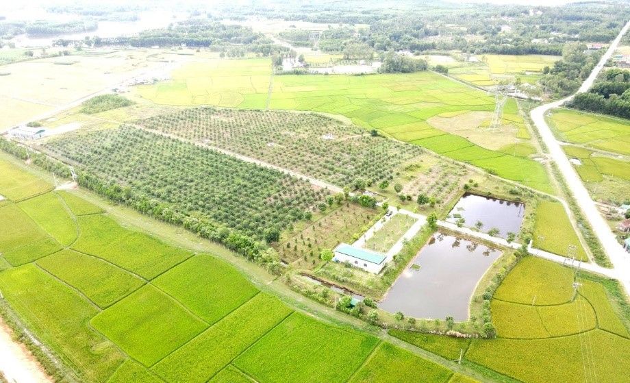  TRANG TRẠI NÔNG NGHIỆP CÔNG NGHỆ CAO MIPEC GREEN 