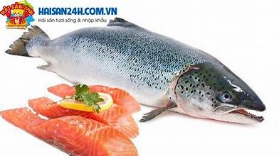  Cá hồi Sapa đủ món 