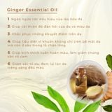  Sữa tắm thảo dược thư giãn Blissberry hương Gừng 250g 