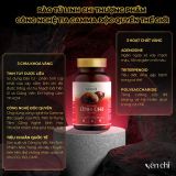  TPBVSK Yên Chi Bào tử nấm Linh Chi 