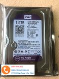  HDD WD Purple 1TB WD10PURZ 