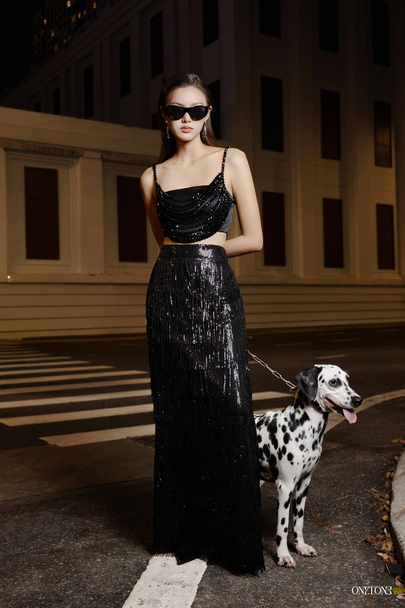 Chân Váy Midi Sequin