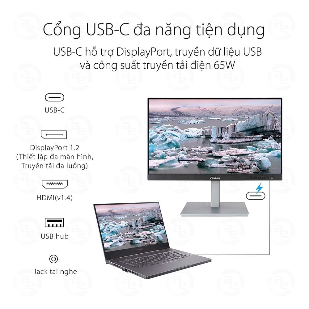 Màn Hình ASUS ProArt PA247CV-P (23.8 inch - FHD - IPS - 75Hz - 5ms - USB TypeC - sRGB 100% - Rec.709 100%)