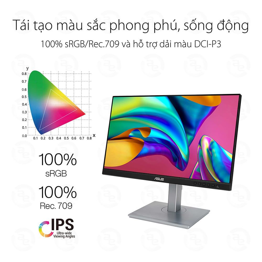 Màn Hình ASUS ProArt PA247CV-P (23.8 inch - FHD - IPS - 75Hz - 5ms - USB TypeC - sRGB 100% - Rec.709 100%)