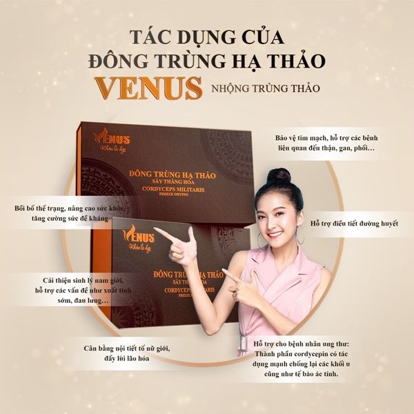 Đông trùng hạ thảo nguyên con sấy thăng hoa Venus 10g (50 con) - Nhộng trùng thảo khô