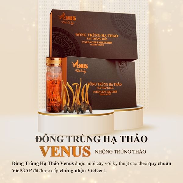 Đông trùng hạ thảo nguyên con sấy thăng hoa Venus 10g (50 con) - Nhộng trùng thảo khô