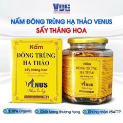 Nấm đông trùng hạ thảo sấy thăng hoa 20G (sấy khô) - VENUS KHỎE LÀ ĐẸP