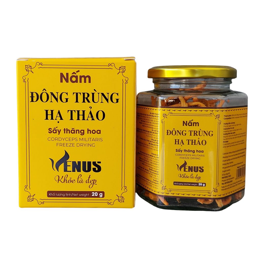 Nấm đông trùng hạ thảo sấy thăng hoa 20G (sấy khô) - VENUS KHỎE LÀ ĐẸP