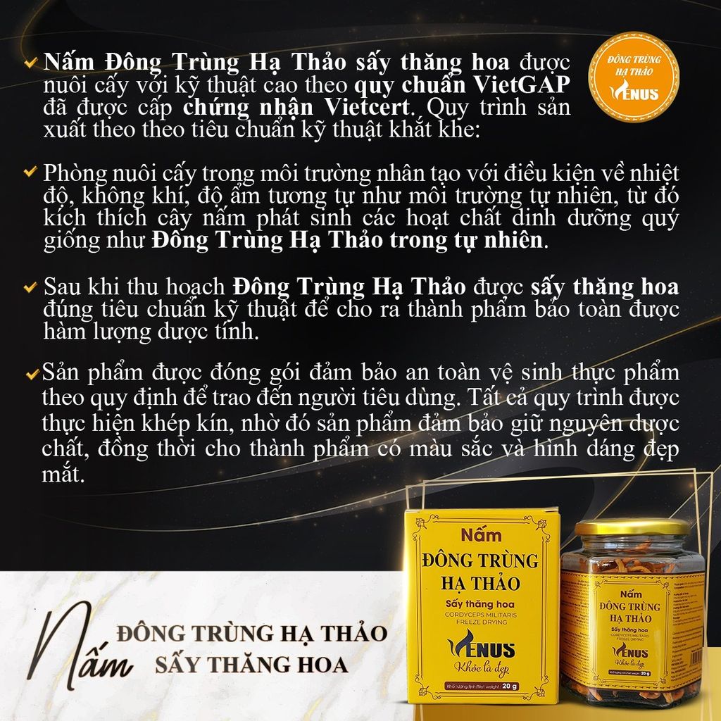 Nấm đông trùng hạ thảo sấy thăng hoa 20G (sấy khô) - VENUS KHỎE LÀ ĐẸP