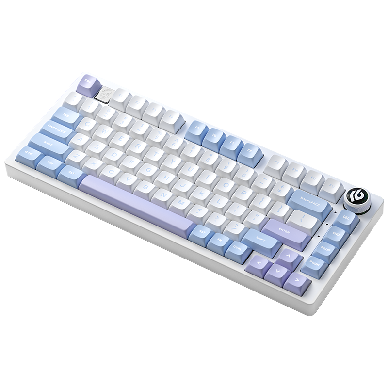 Bàn phím gaming có dây LEOBOG Hi75 (Phiên bản Xanh dương + trắng + tím)