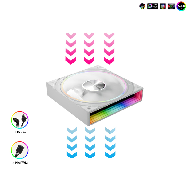 Jungle Leopard Transwarp ARGB ファン ホワイト
