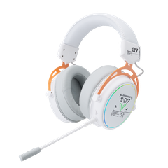Tai nghe Gaming Bluetooth RAPOO VH800