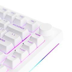 Bàn phím cơ AKKO 5075B Plus | Multi-modes | RGB | Hotswap | Gasket mount